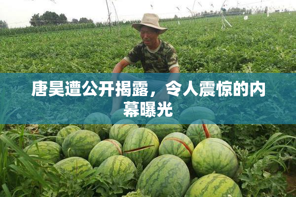 唐昊遭公开揭露，令人震惊的内幕曝光