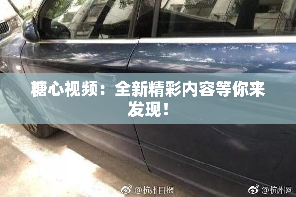 糖心视频：全新精彩内容等你来发现！