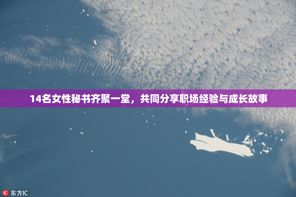 14名女性秘书齐聚一堂，共同分享职场经验与成长故事
