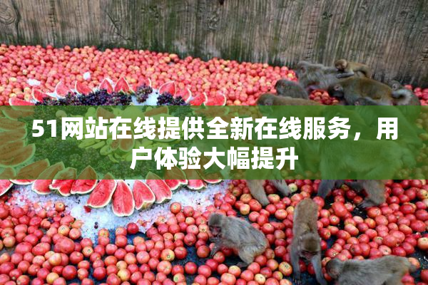 51网站在线提供全新在线服务，用户体验大幅提升