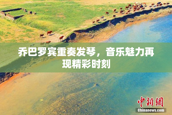 乔巴罗宾重奏发琴，音乐魅力再现精彩时刻