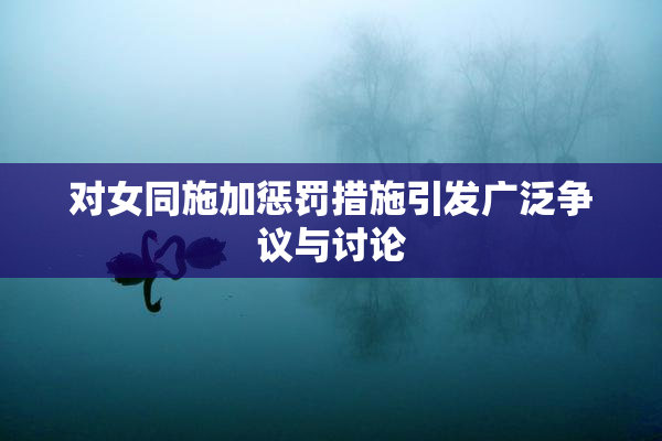 对女同施加惩罚措施引发广泛争议与讨论