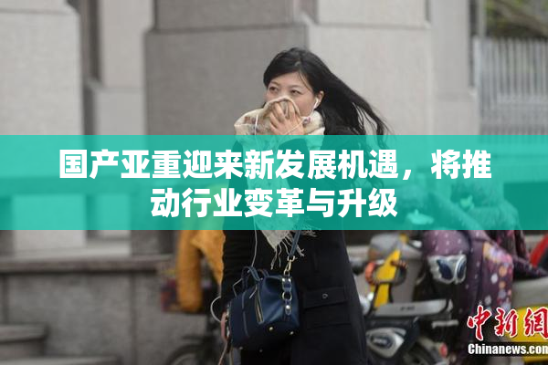 国产亚重迎来新发展机遇，将推动行业变革与升级