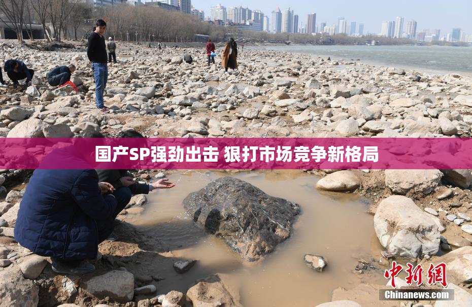 国产SP强劲出击 狠打市场竞争新格局