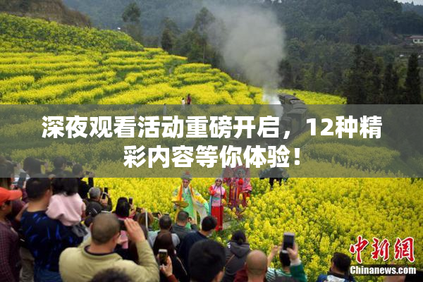 深夜观看活动重磅开启，12种精彩内容等你体验！
