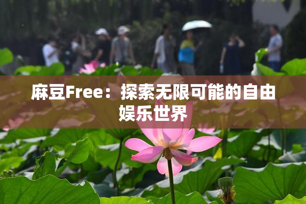 麻豆Free：探索无限可能的自由娱乐世界