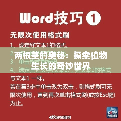 两根茎的奥秘：探索植物生长的奇妙世界