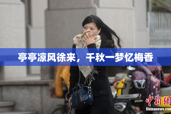 亭亭凉风徐来，千秋一梦忆梅香