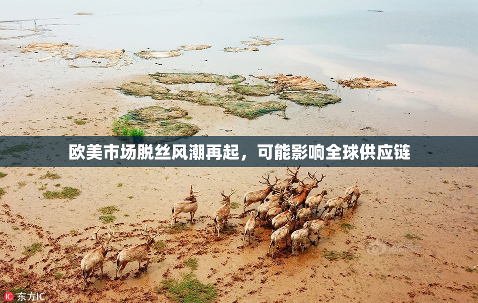 欧美市场脱丝风潮再起，可能影响全球供应链