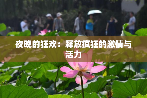 夜晚的狂欢：释放疯狂的激情与活力