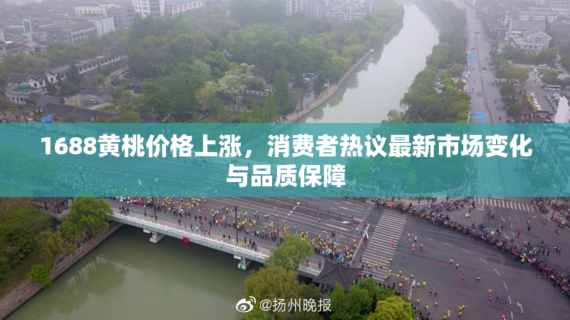1688黄桃价格上涨，消费者热议最新市场变化与品质保障