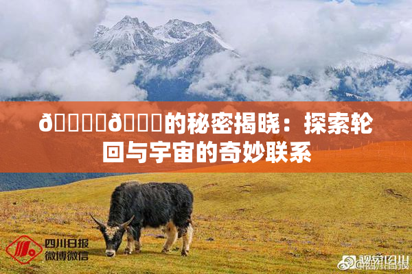 🔞‌🍌的秘密揭晓：探索轮回与宇宙的奇妙联系