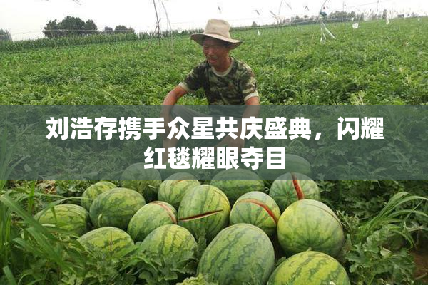 刘浩存携手众星共庆盛典，闪耀红毯耀眼夺目