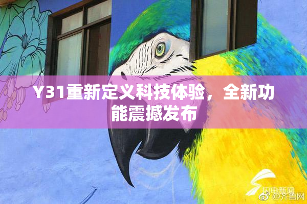 Y31重新定义科技体验，全新功能震撼发布