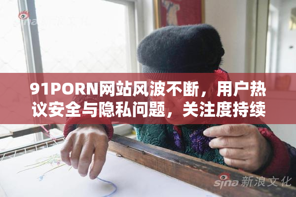 91PORN网站风波不断，用户热议安全与隐私问题，关注度持续上升。