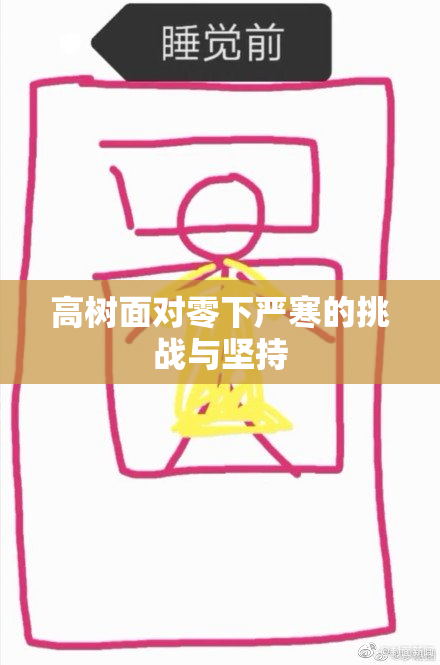 高树面对零下严寒的挑战与坚持