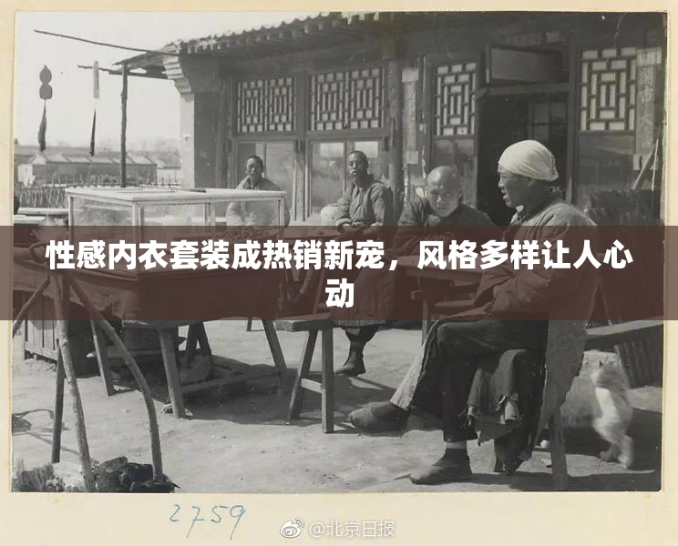 性感内衣套装成热销新宠，风格多样让人心动
