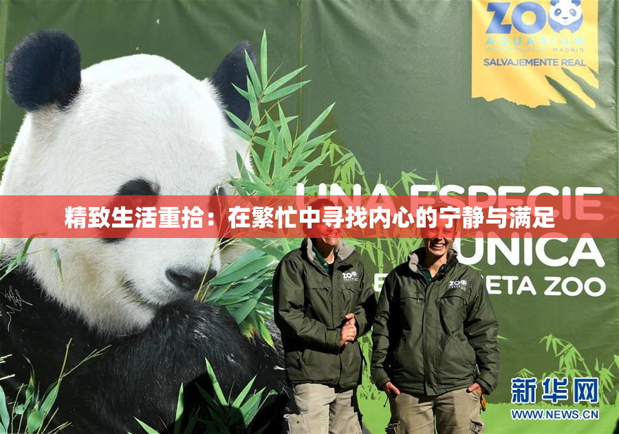 精致生活重拾：在繁忙中寻找内心的宁静与满足