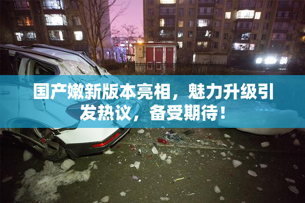 国产嫩新版本亮相，魅力升级引发热议，备受期待！