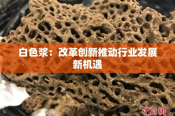 白色浆：改革创新推动行业发展新机遇
