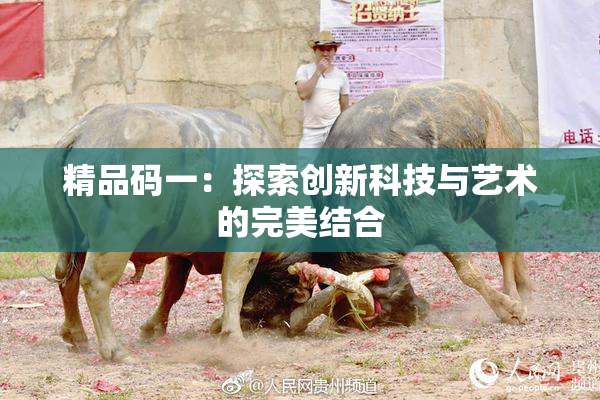 精品码一：探索创新科技与艺术的完美结合
