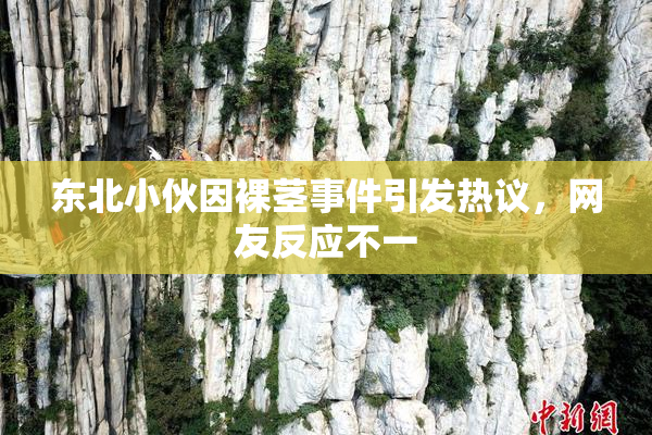 东北小伙因裸茎事件引发热议，网友反应不一