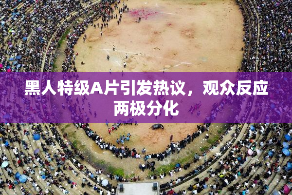 黑人特级A片引发热议，观众反应两极分化