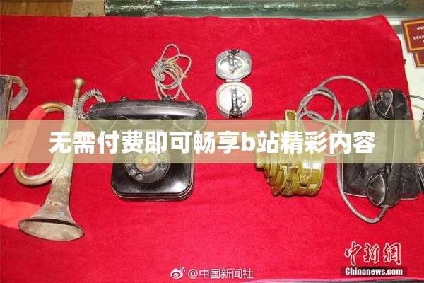 无需付费即可畅享b站精彩内容