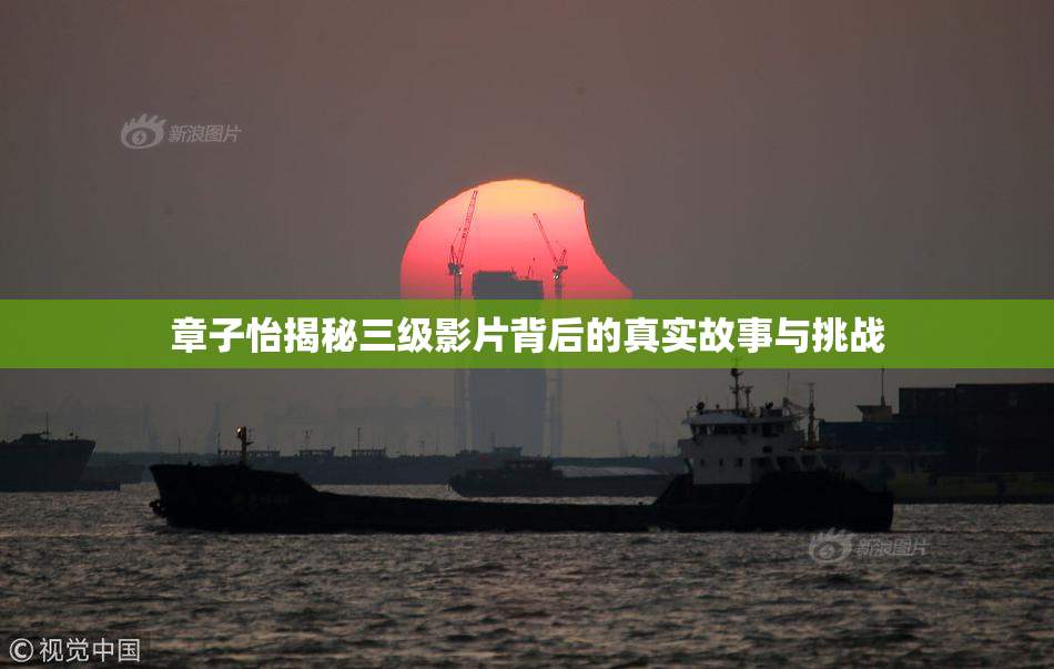 章子怡揭秘三级影片背后的真实故事与挑战