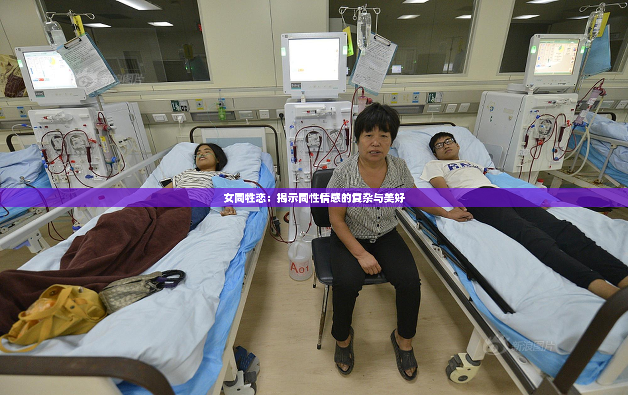 女同牲恋：揭示同性情感的复杂与美好