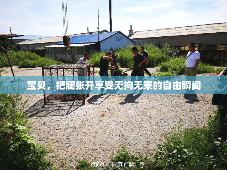 宝贝，把腿张开享受无拘无束的自由瞬间