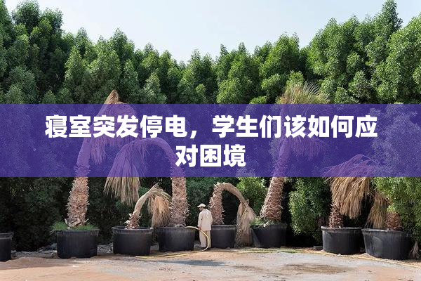 寝室突发停电，学生们该如何应对困境
