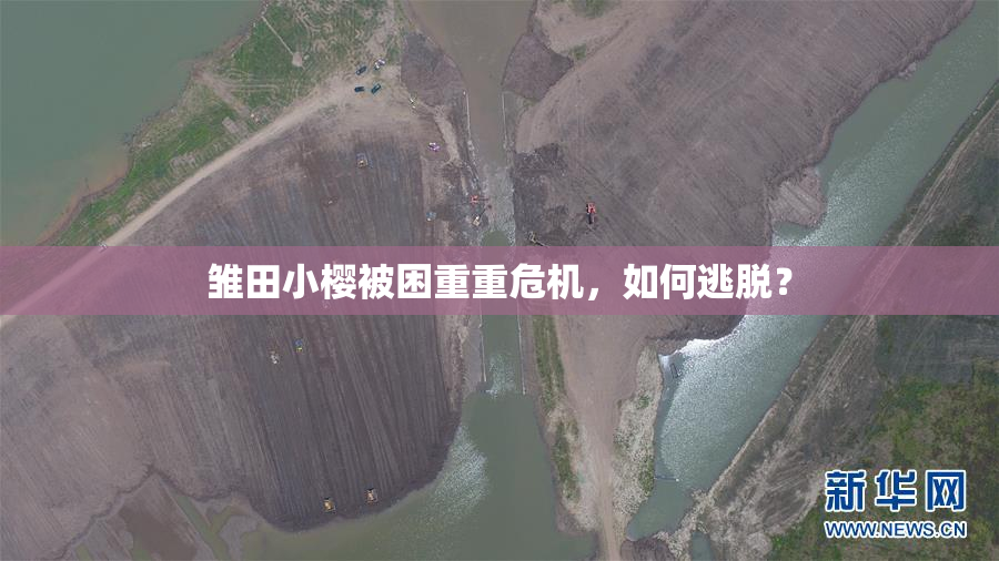 雏田小樱被困重重危机，如何逃脱？