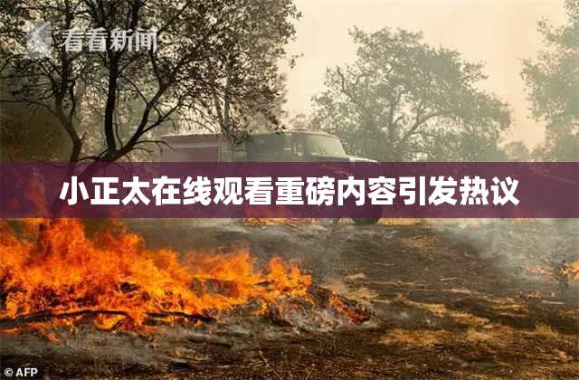 小正太在线观看重磅内容引发热议