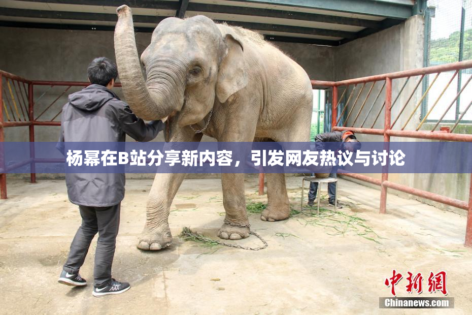 杨幂在B站分享新内容，引发网友热议与讨论