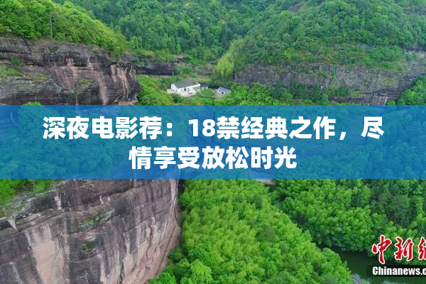 深夜电影荐：18禁经典之作，尽情享受放松时光