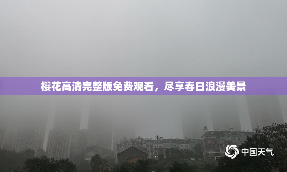 樱花高清完整版免费观看，尽享春日浪漫美景