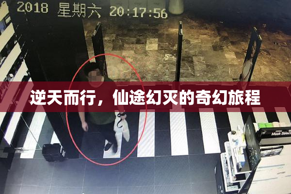 逆天而行，仙途幻灭的奇幻旅程