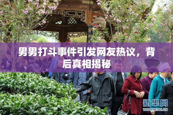 男男打斗事件引发网友热议，背后真相揭秘