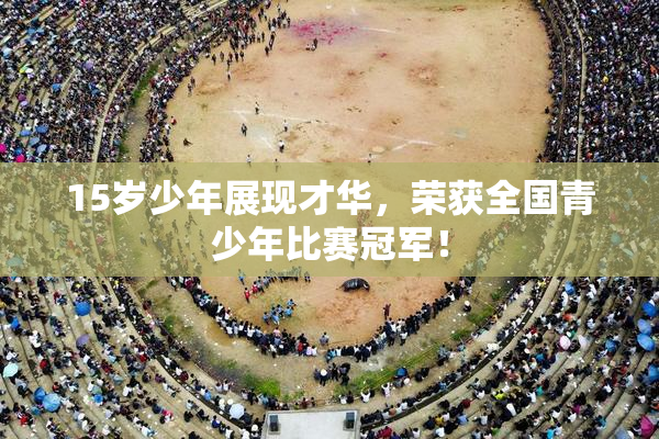 15岁少年展现才华，荣获全国青少年比赛冠军！