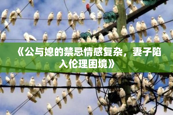 《公与媳的禁忌情感复杂，妻子陷入伦理困境》