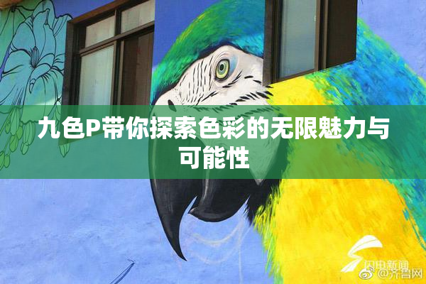 九色P带你探索色彩的无限魅力与可能性