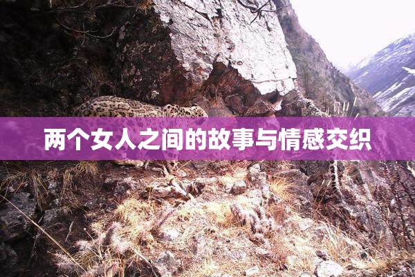 两个女人之间的故事与情感交织