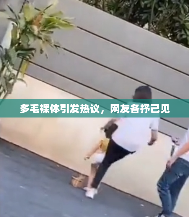 多毛裸体引发热议，网友各抒己见