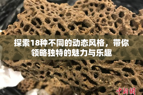 探索18种不同的动态风格，带你领略独特的魅力与乐趣