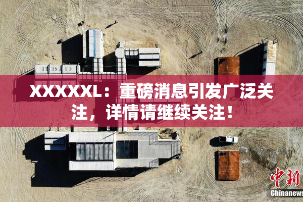 XXXXXL：重磅消息引发广泛关注，详情请继续关注！