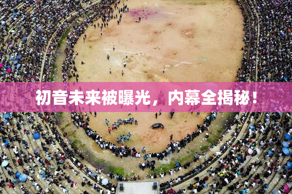 初音未来被曝光，内幕全揭秘！