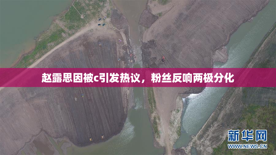赵露思因被c引发热议，粉丝反响两极分化