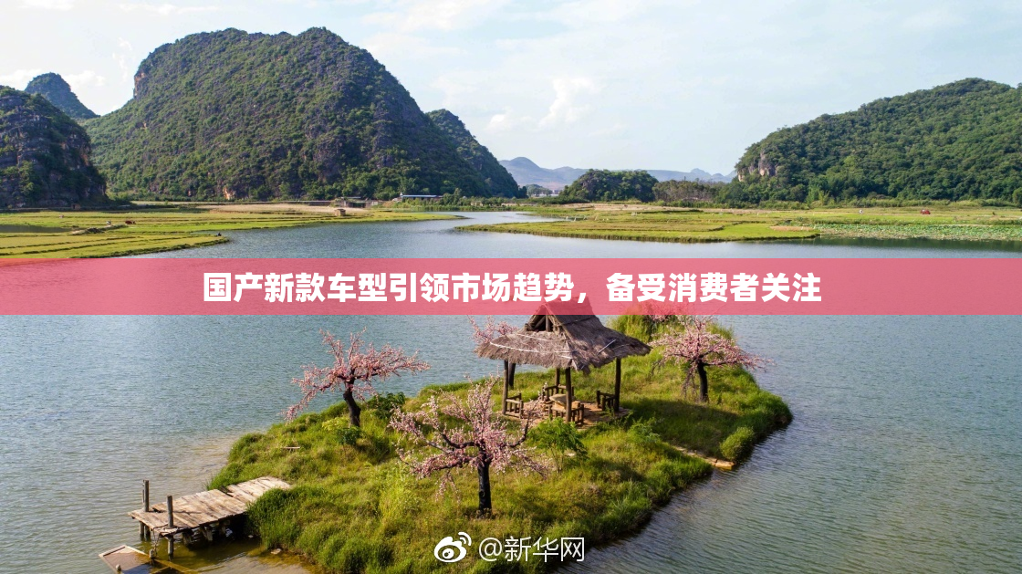 国产新款车型引领市场趋势，备受消费者关注