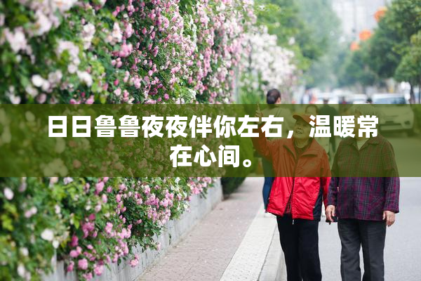 日日鲁鲁夜夜伴你左右，温暖常在心间。